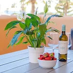 Fantastic 80m From The Beach! * Марбелья